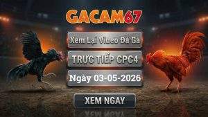 Xem Lại Video Đá Gà CPC4 Ngày 03/05/2026