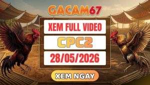 Xem Lại Video Đá Gà CPC2 Ngày 28/05/2026