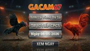 Xem Lại Video Đá Gà CPC5 Ngày 06/05/2026
