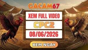 Xem Lại Video Đá Gà CPC2 Ngày 08/06/2026